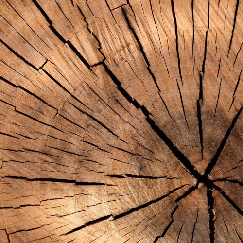 lumber-84678_1280 lumber-84678_1280
