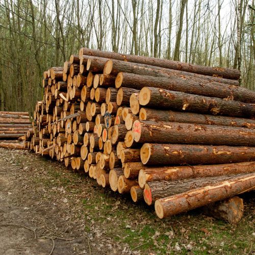 wood-3308800_1280 wood-3308800_1280